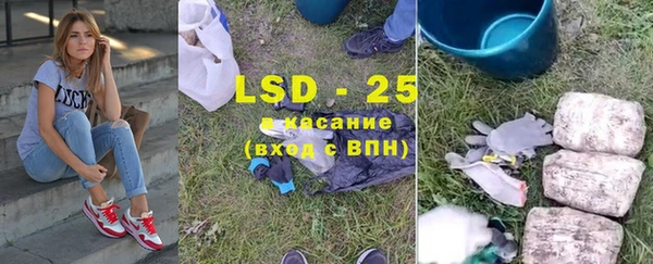 ГАЛЛЮЦИНОГЕННЫЕ ГРИБЫ Арсеньев
