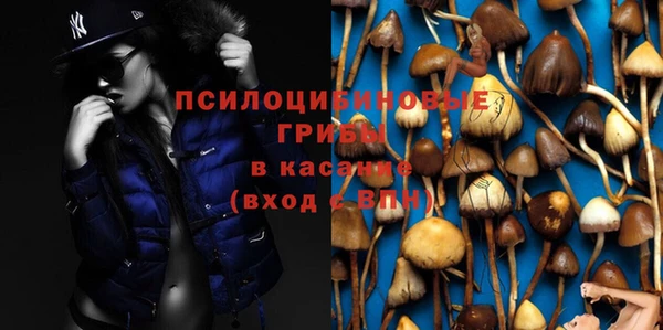 дживик Баксан