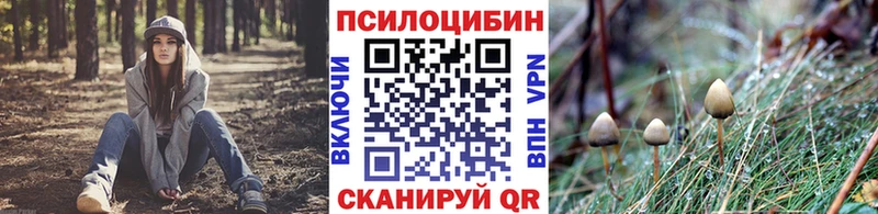 Псилоцибиновые грибы мухоморы нарко площадка какой сайт Большой Камень